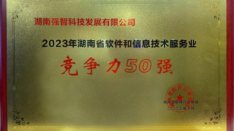 驻场运维与远程运维：选择之道，安全为先